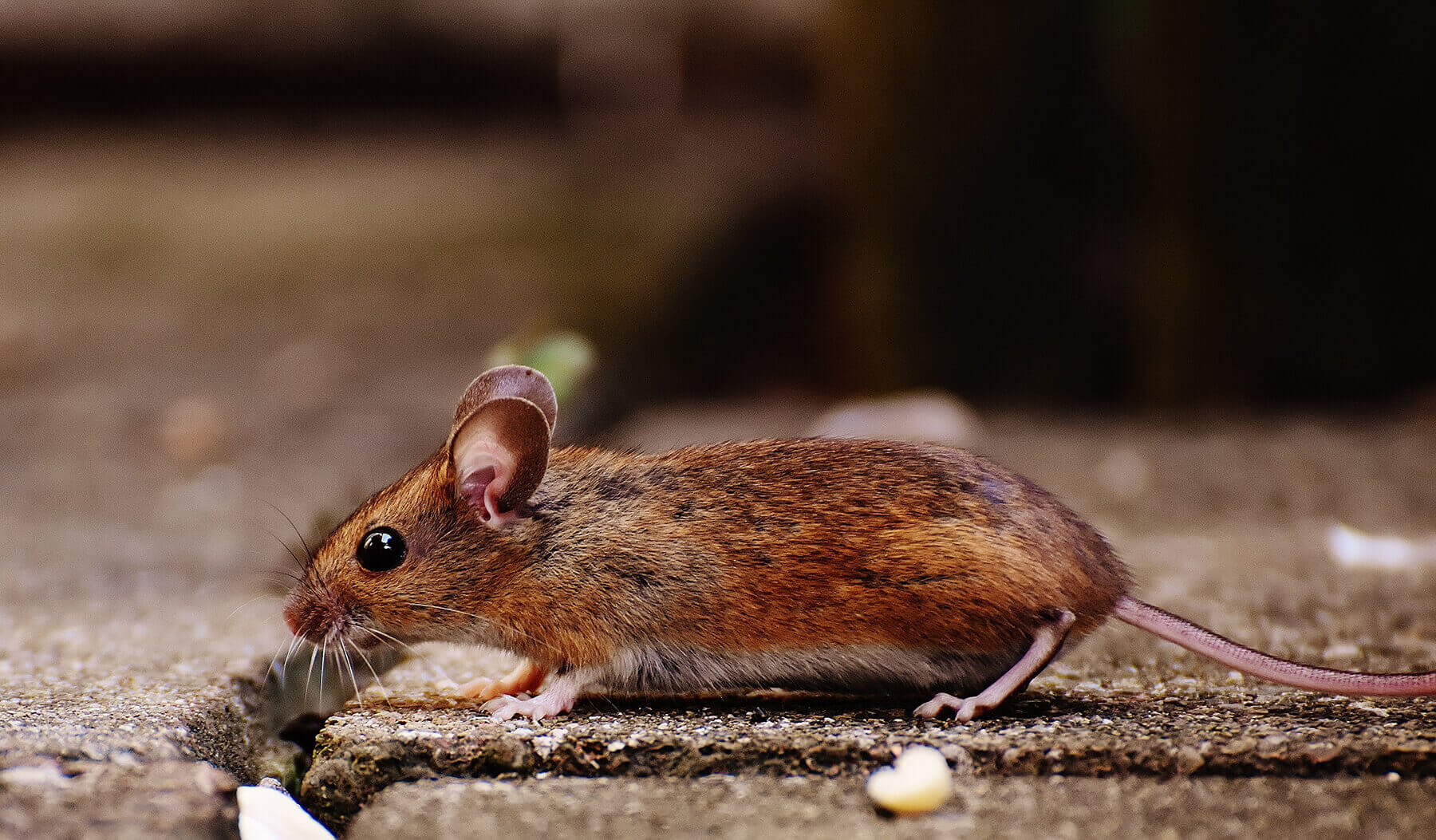 Being creative: an experiment