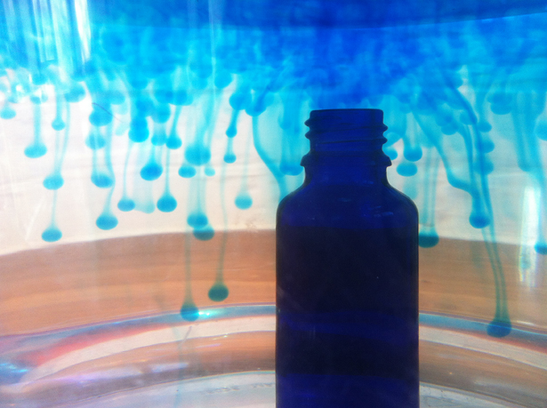 Curiosity, discovery, delight and wonder!