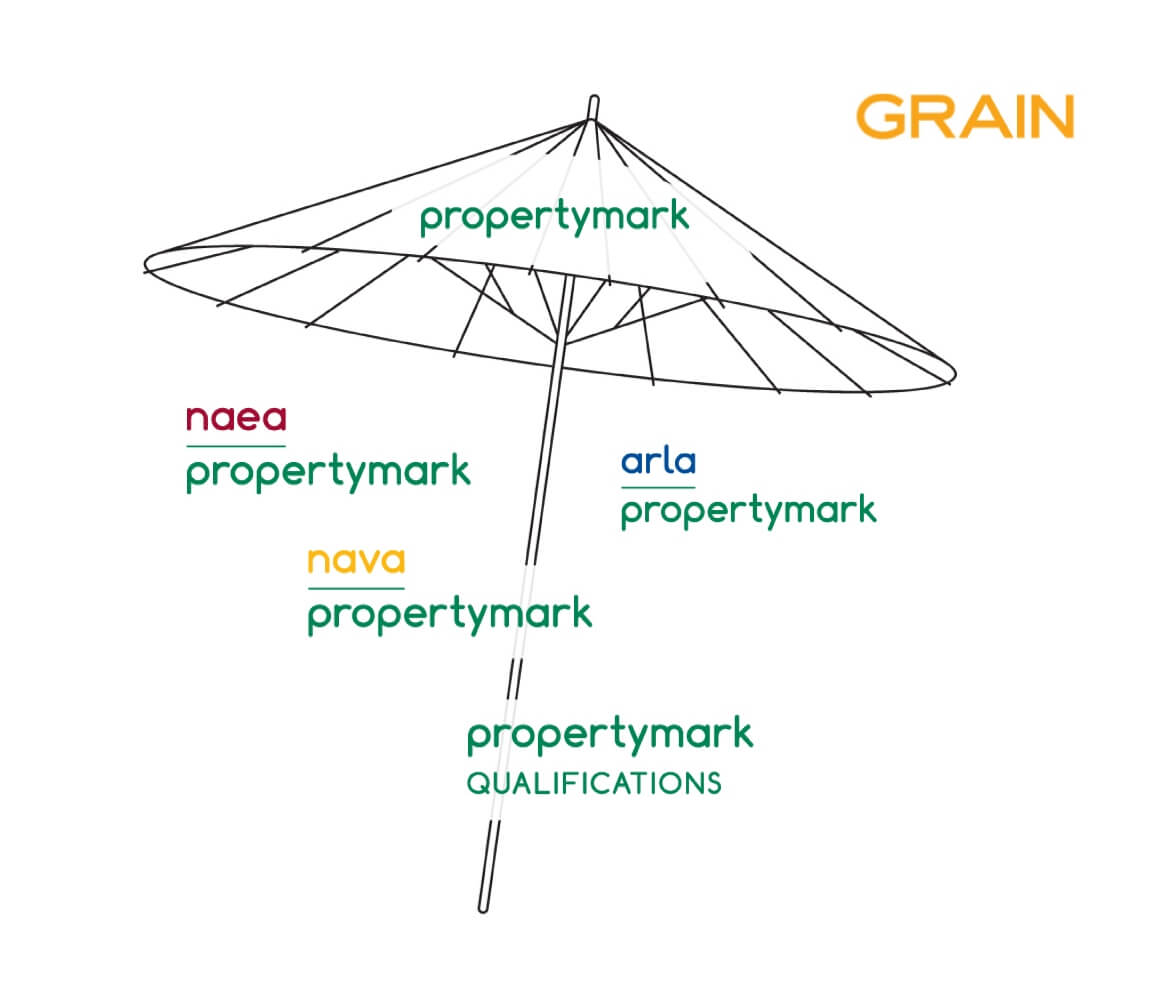 Umbrella Brands Brand Architecture Strategy and Synergy